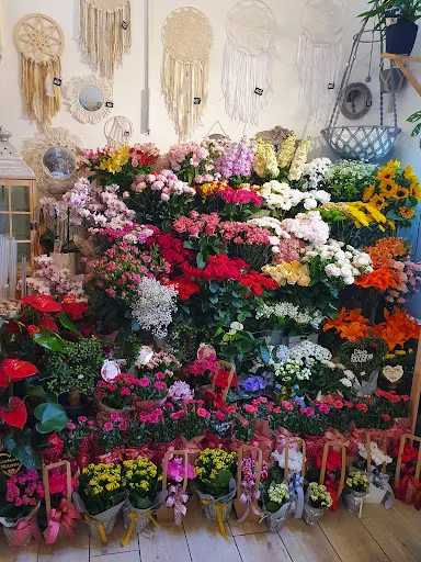 Kwiaciarnia SCHUBERT Magdalena Schubert-Filipek